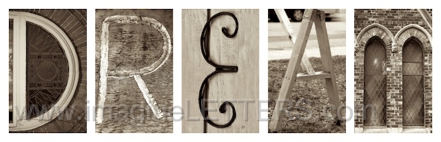 Wall_Art_Alphabet_Photography_Art_ 491.jpg